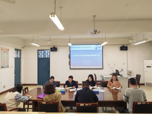 mrds20.fun开展《2023年高校经济责任审计典型问题》专项核查工作